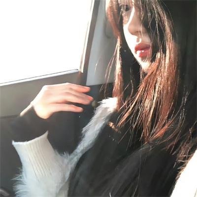军犬麦克斯2:白宫英雄